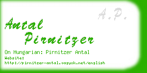 antal pirnitzer business card